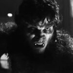 Werewolf By Night Jack Russell